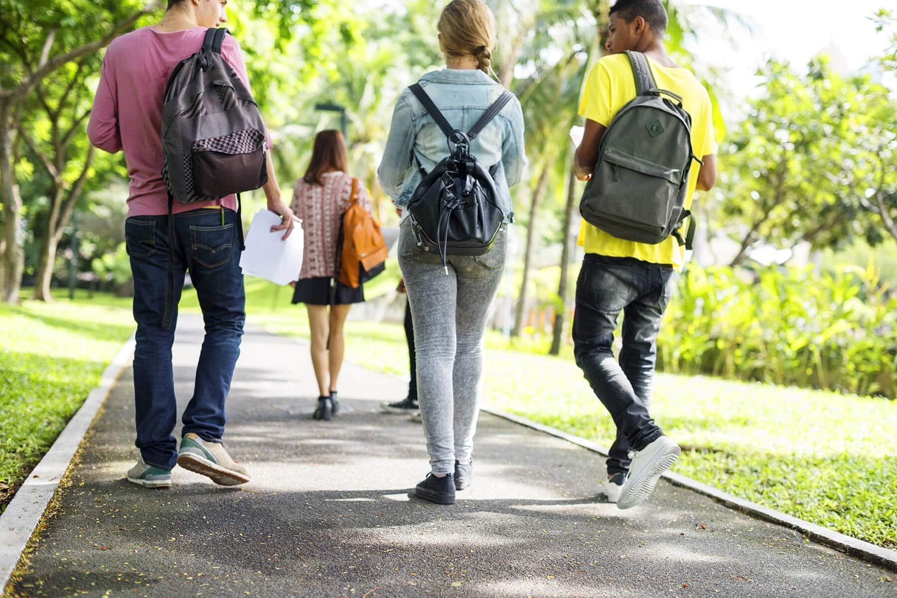 Preventing Bullying in College