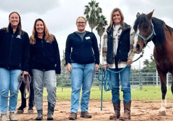 Leadership & Team Building